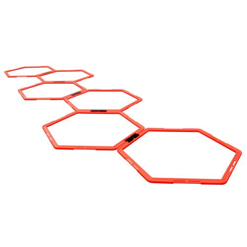 Hexagonal Ladder