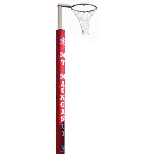 Outdoor Goal with hoop