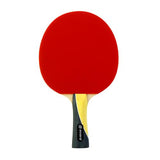 Avaro 5 Star Table Tennis Bat