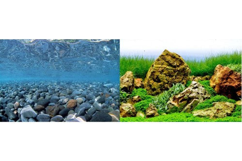 Aquatic background featuring vibrant river rock and lush sea of green, perfect for enhancing freshwater or saltwater aquariums.