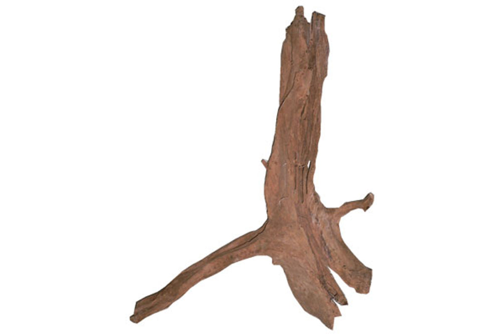 Natural 55cm driftwood aquarium ornament enhances aquatic habitats and aesthetics for fish tanks. Perfect for freshwater and saltwater.