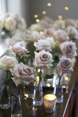 Dreaming in Petals