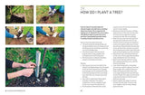 Kew Answers for Everyday Gardeners