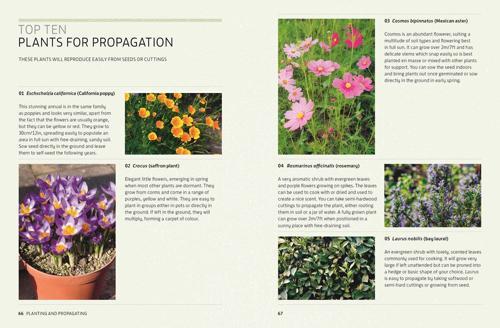 Kew Answers for Everyday Gardeners