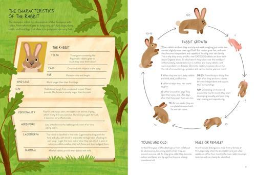 Rabbitology The Ultimate Encyclopedia