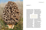The Fascinating World of Fungi