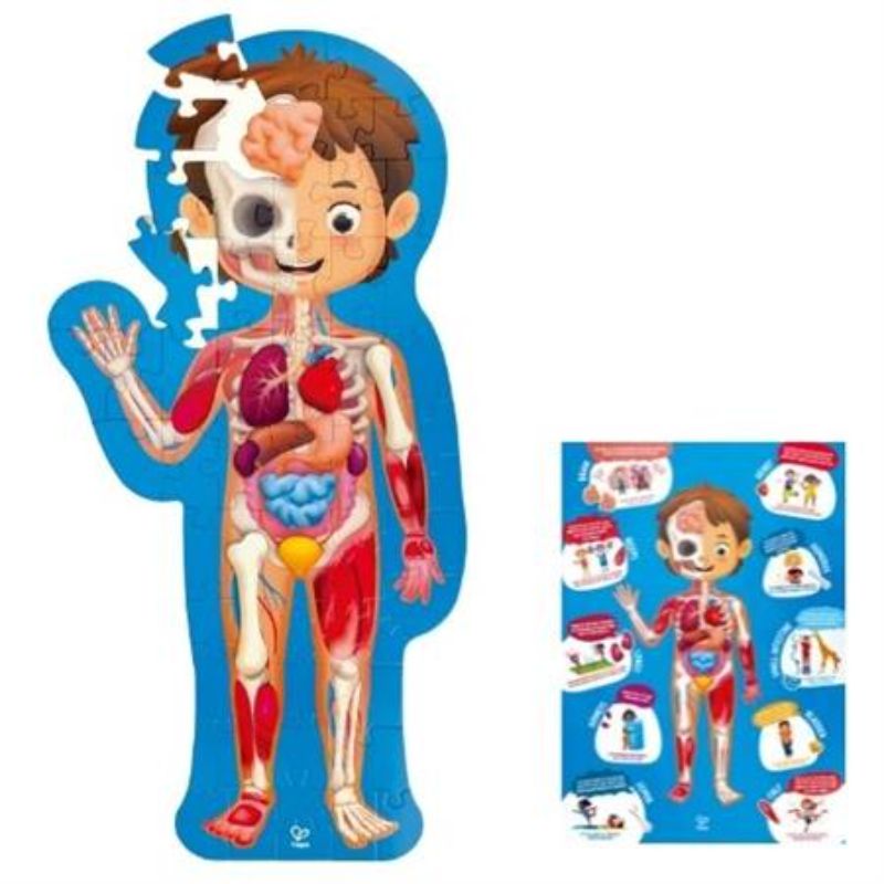 Hape Human Body Puzzle featuring 50 pieces to learn anatomy and promote fine motor skills for children aged 4 and up.