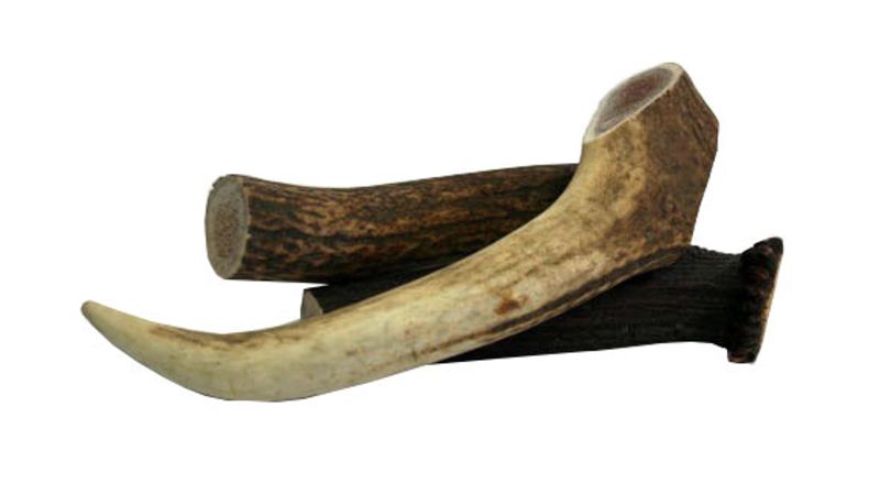 Natural New Zealand deer antler chew for dogs, promoting dental health and digestion while satisfying their chewing instincts.