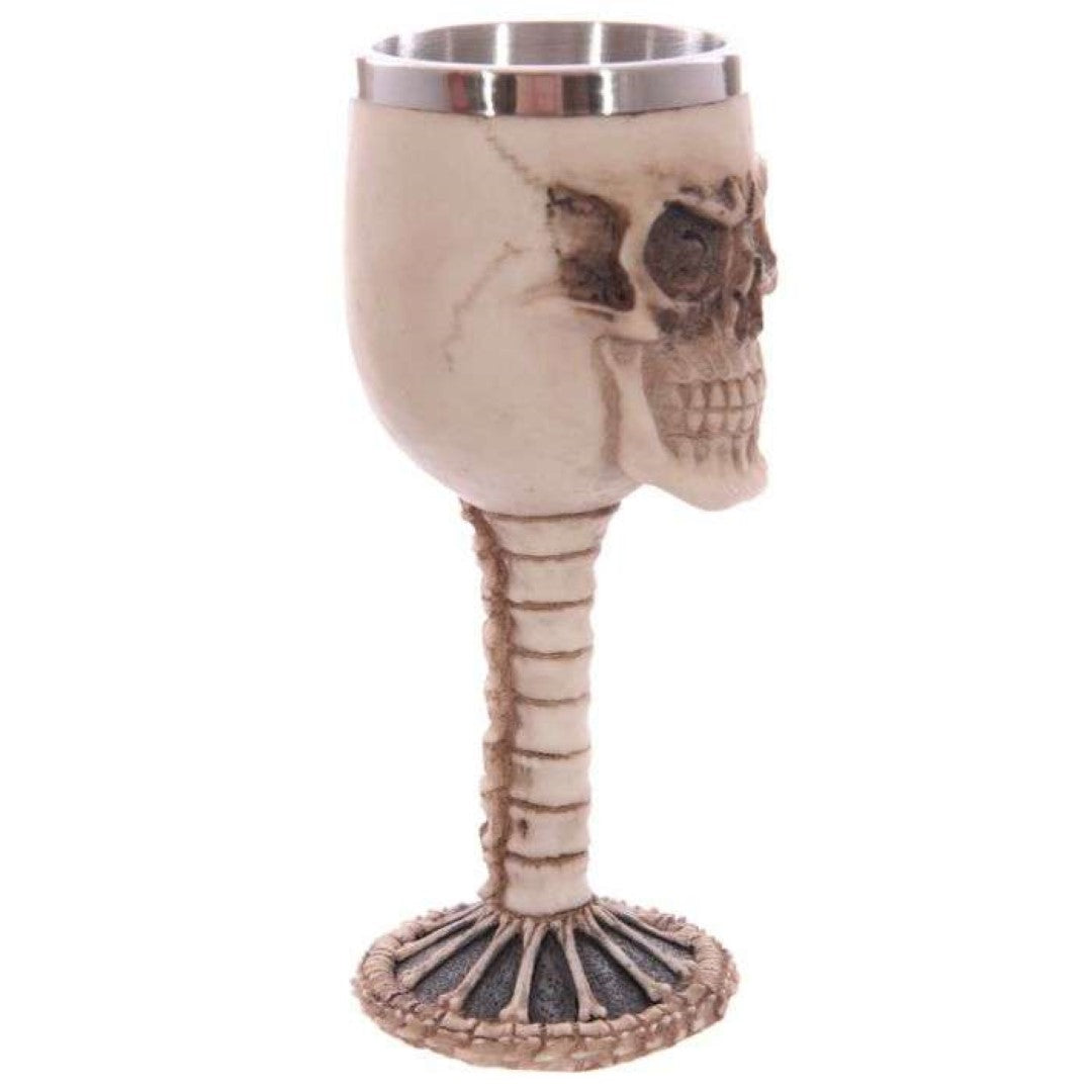 Decorative skull goblet with spine detailing, 18cm tall, crafted from resin and stainless steel, ideal for gothic decor.