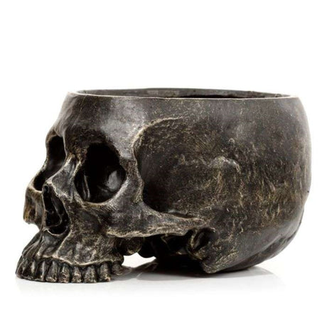 Garden planter shaped like a skull, 19.5cm tall, perfect for displaying small plants or herbs indoors and outdoors.