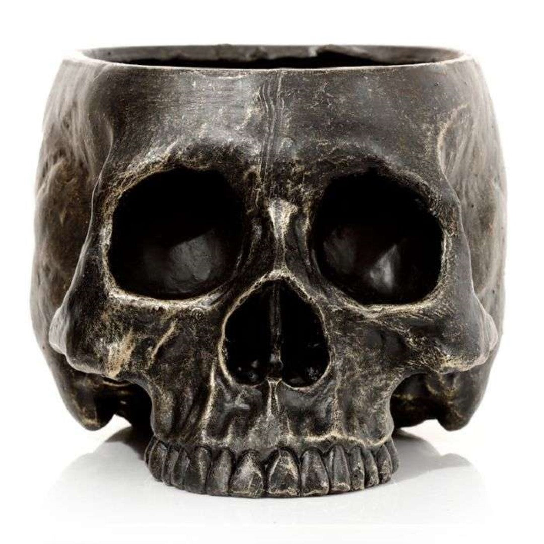 Skull-shaped garden planter (19.5cm) for succulents and herbs, offering a unique blend of artistry and functionality.