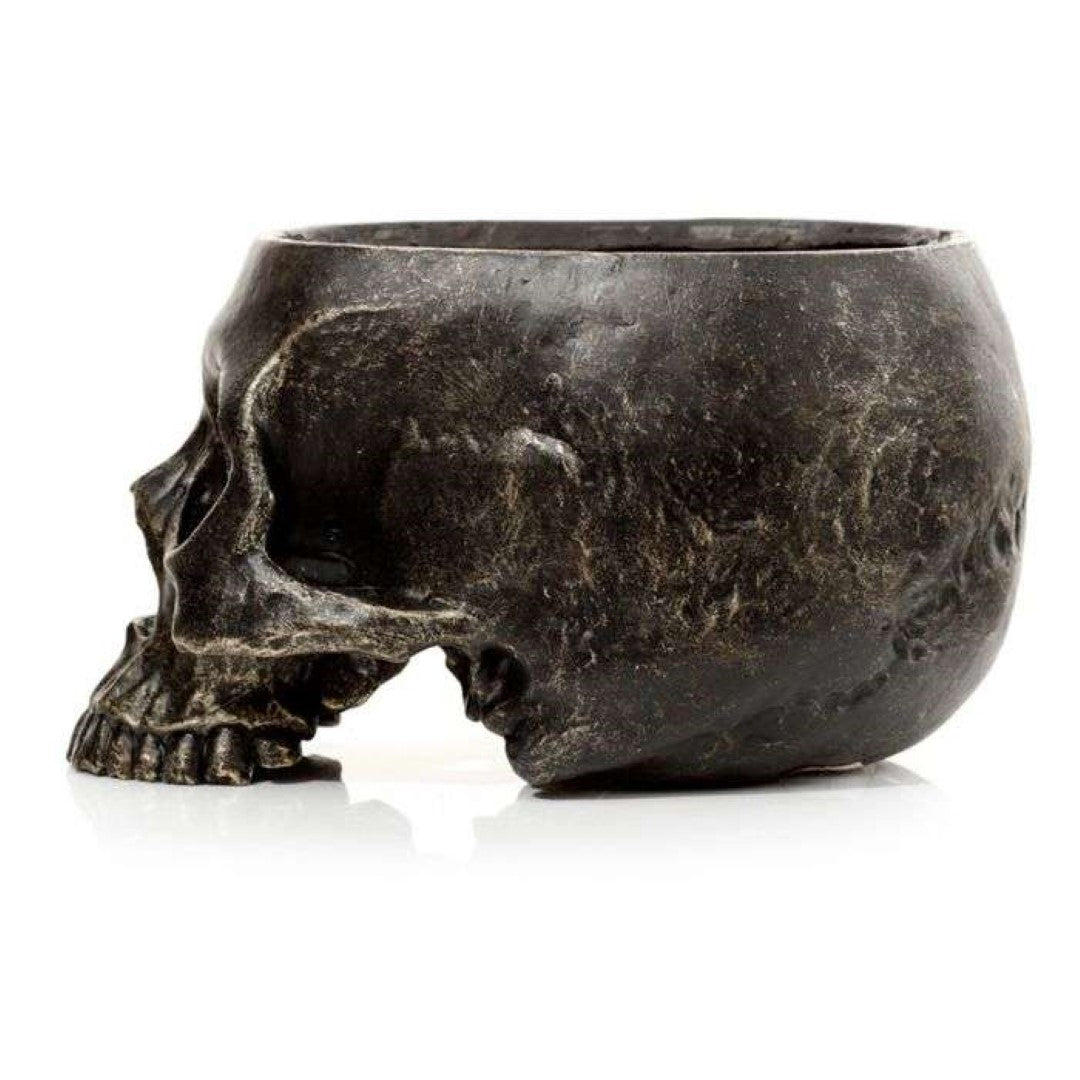 Skull-shaped garden planter (19.5cm) for succulents and herbs, adding a whimsical touch to any space.