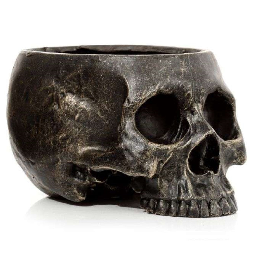 Skull-shaped garden planter (19.5cm) for succulents and herbs, blending art and functionality in any space.