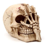 Gruesome 16cm skull head ornament with skeleton claw hand, perfect for Halloween or gothic decor enthusiasts.