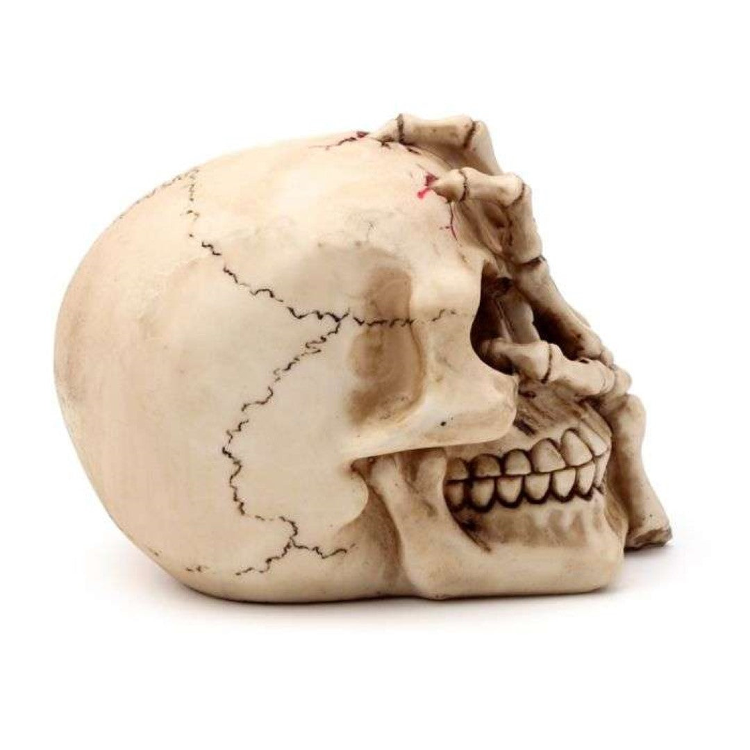 Gruesome skull head ornament (16cm) with detailed skeleton claw hand, ideal for Halloween and gothic decor lovers.