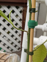 Gardening 10cm Velco Buckle (x 10)