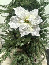 Artificial Velvet Poinsettia - Large 25cm (Cream)