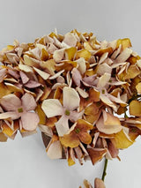 Artificial Dry Look Cut Stem Hydrangea (Beige)