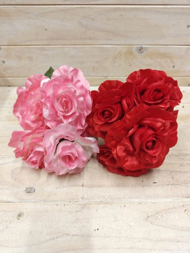 Open Rose Bush