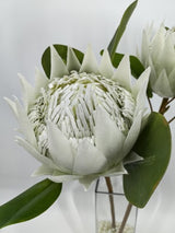 Artificial Large King Protea (White)