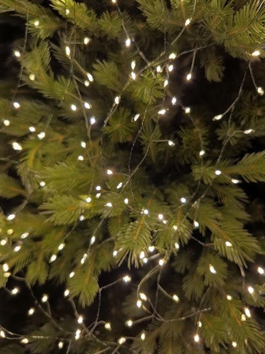 Firecracker Green String with 100 Warm Lights (3M)