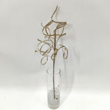 Thin Curly Twig Spray - 40cm (Champagne)