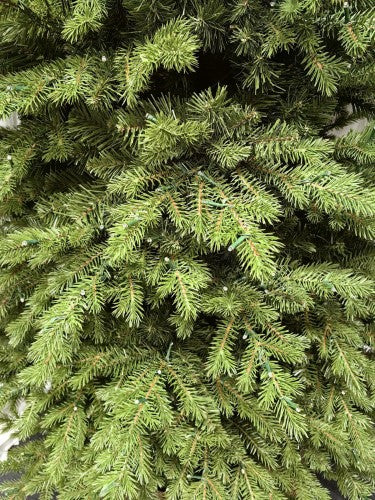 Pine Chrismas Tree with 4000 Multi Function LED lights & 7661 Tips - 12'