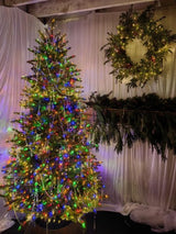 Mixed Juniper Pine Christmas Tree with 1500 LED Lights & 3913 Tips - 7.5'