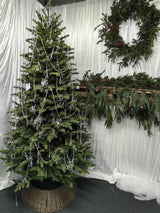 Mixed Juniper Pine Christmas Tree with 1500 LED Lights & 3913 Tips - 7.5'