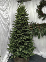 Mixed Juniper Pine Christmas Tree with 1500 LED Lights & 3913 Tips - 7.5'