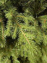 Mixed Juniper Pine Christmas Tree with 1500 LED Lights & 3913 Tips - 7.5'