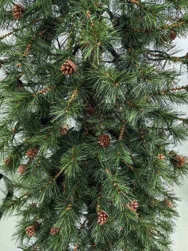 Needle Pine Christmas Tree  = & 160 Multi Function LED Lights & 316 Tips - 5'