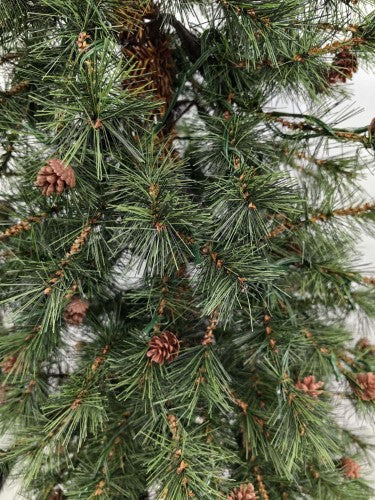 Needle Pine Christmas Tree  = & 160 Multi Function LED Lights & 316 Tips - 5'