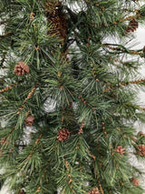 Needle Pine Christmas Tree  = & 160 Multi Function LED Lights & 316 Tips - 5'