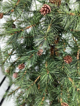 Needle Pine Christmas Tree with Cones & 200 LED Lights - 6'