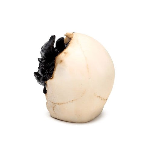 Ornament - Shadows of Darkness Black Dragon in Skull (Large)