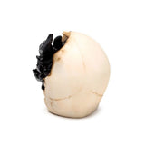 Ornament - Shadows of Darkness Black Dragon in Skull (Large)