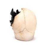 Ornament - Shadows of Darkness Black Dragon in Skull (Large)