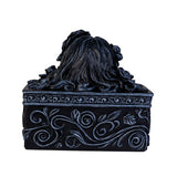 Tarot Box - Dead Beautiful (11cm)