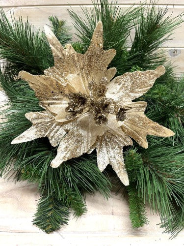 Ice Punch Poinsettia Flower Head (Champagne)