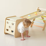 Classic World Small Climbing Gym Set