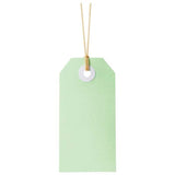 Pastel green Avery Tag-It tags, 24 pack, 48x96mm, with reinforced holes and durable twine, ideal for crafting and organizing.