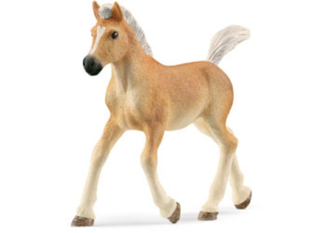 Realistic Schleich Haflinger foal figurine, showcasing its adorable features and lifelike design, perfect for play or collection.