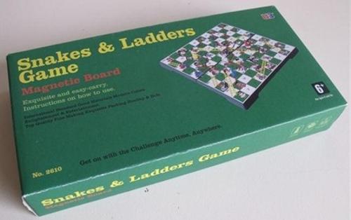 10 Magnetic Snakes & Ladders