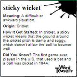 Word Teasers Sports Idioms