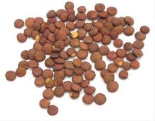Icelandic - Lentils Brown - 25KG