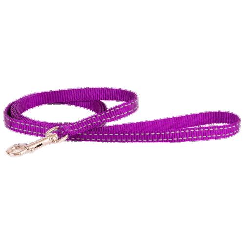 Adjustable Reflective Nylon Puppy Lead – Beau Pets 120cm Purple