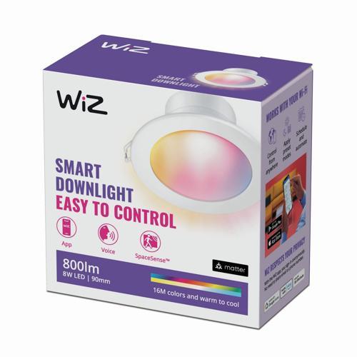 WiZ Down Light