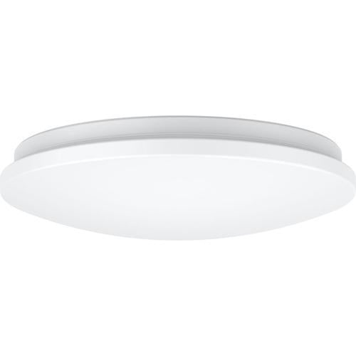 18W Eco Oyster Light