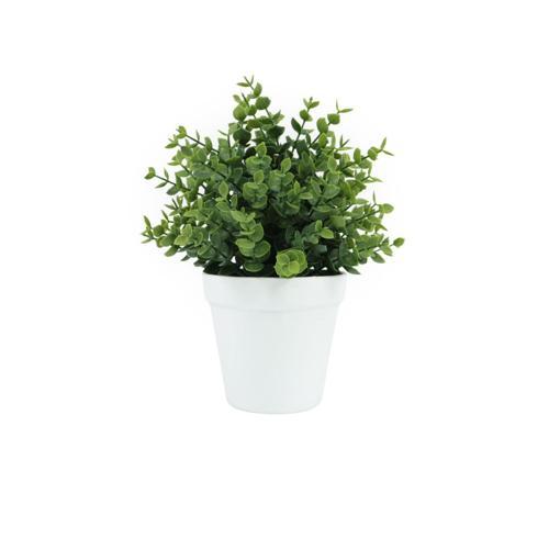 Botanicals Collection Artificial Eucalyptus Plant In Pot 11cm